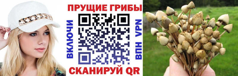 Галлюциногенные грибы мицелий  Купить закладки  Электрогорск 